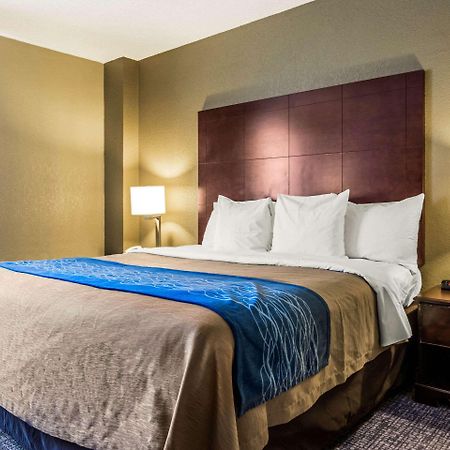 Comfort Inn Atlanta Downtown South Extérieur photo