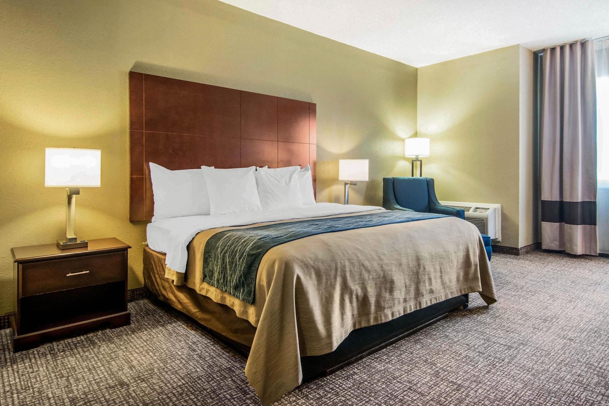Comfort Inn Atlanta Downtown South Extérieur photo