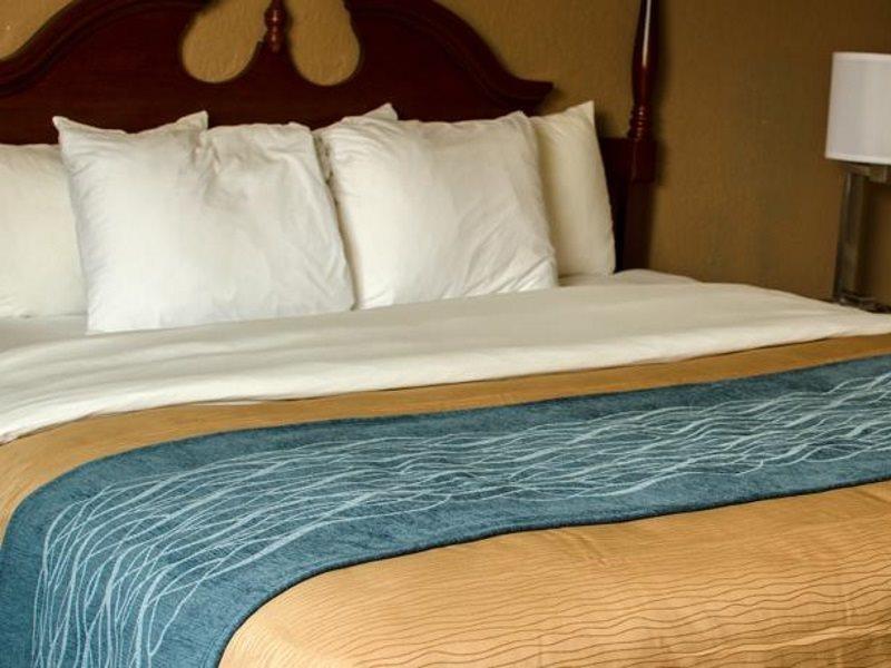 Comfort Inn Atlanta Downtown South Extérieur photo