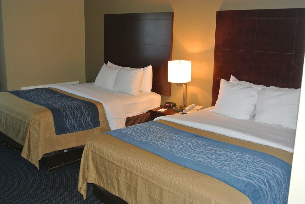 Comfort Inn Atlanta Downtown South Extérieur photo