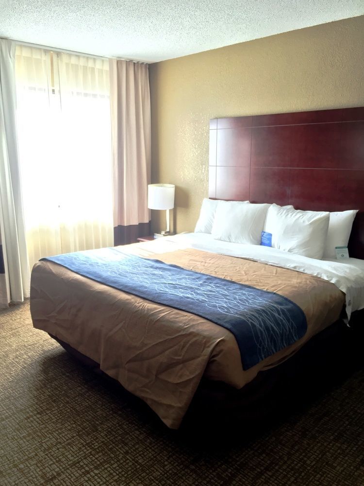 Comfort Inn Atlanta Downtown South Extérieur photo