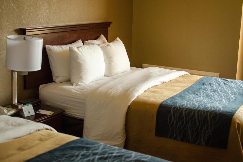 Comfort Inn Atlanta Downtown South Extérieur photo